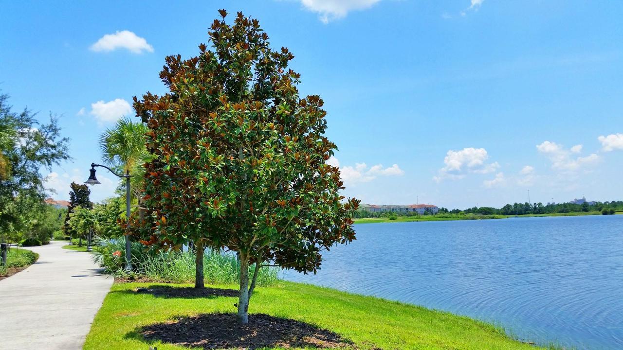 Apartmán Dream Castle Kissimmee Exteriér fotografie